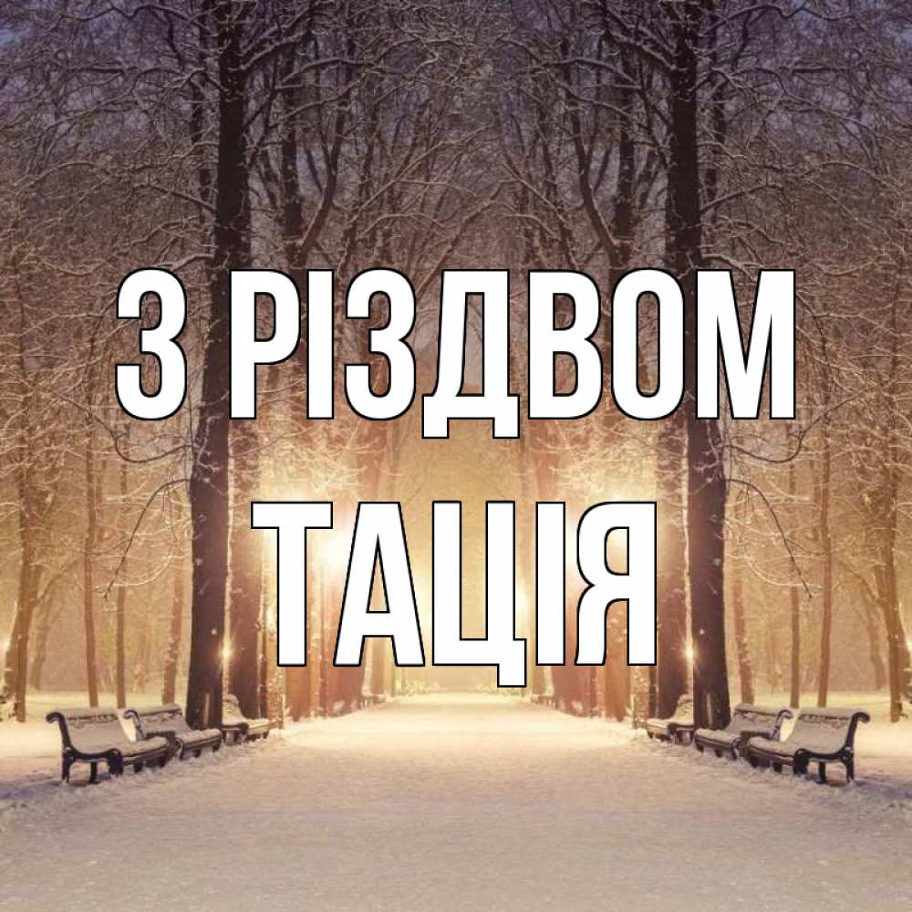 Открытка на каждый день з підписом, Тація З Різдвом зима, парк, фонарь, лес Прикольна листівка з побажанням онлайн скачати безкоштовно 