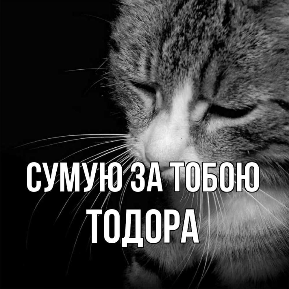 Открытка на каждый день з підписом, Тодора Сумую за тобою мне скучно Прикольна листівка з побажанням онлайн скачати безкоштовно 