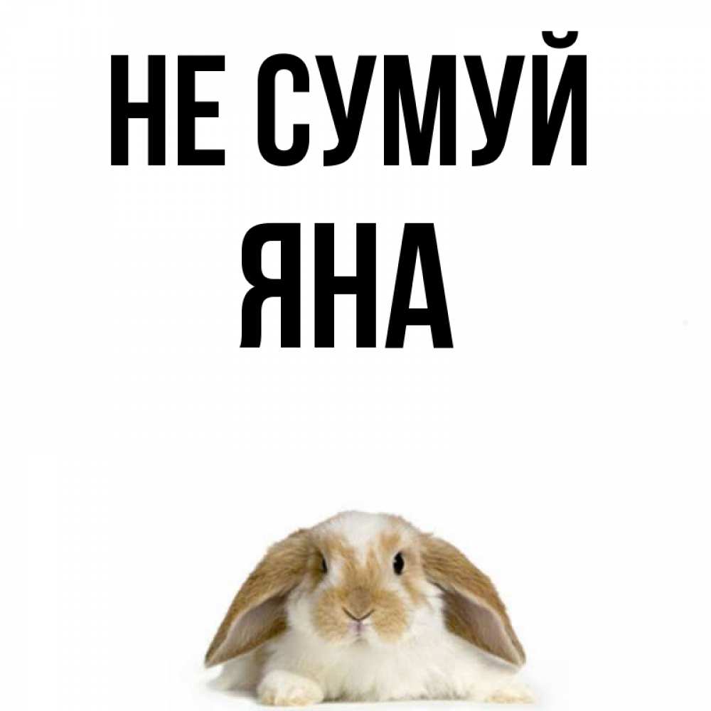 Открытка на каждый день з підписом, Яна Не сумуй коричнево белый заяц с большими ушками Прикольна листівка з побажанням онлайн скачати безкоштовно 