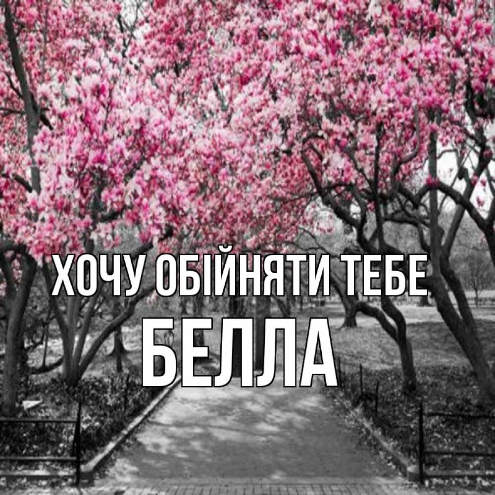 Открытка на каждый день з підписом, Белла Хочу обійняти тебе обработанное фото Прикольна листівка з побажанням онлайн скачати безкоштовно 