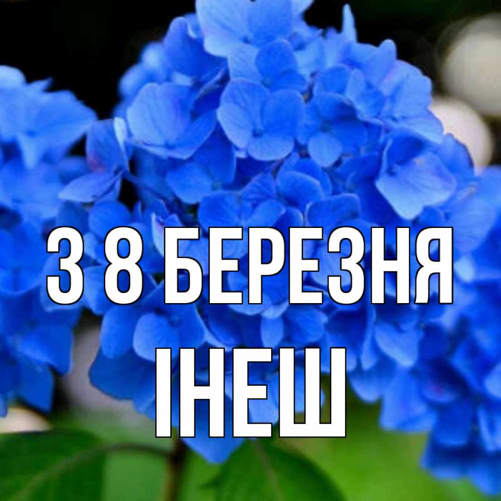 Открытка на каждый день з підписом, Інеш З 8 БЕРЕЗНЯ синие цветы Прикольна листівка з побажанням онлайн скачати безкоштовно 
