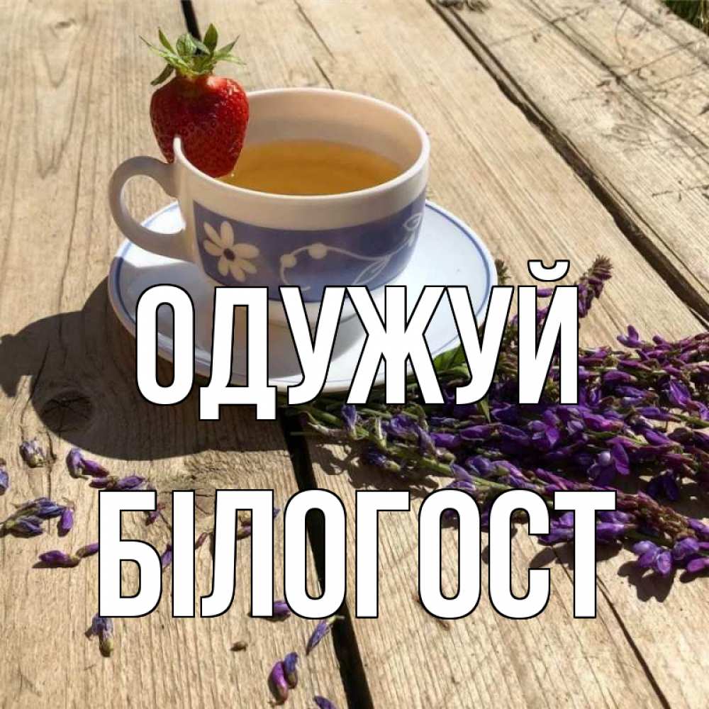 Открытка на каждый день з підписом, Білогост Одужуй чай Прикольна листівка з побажанням онлайн скачати безкоштовно 