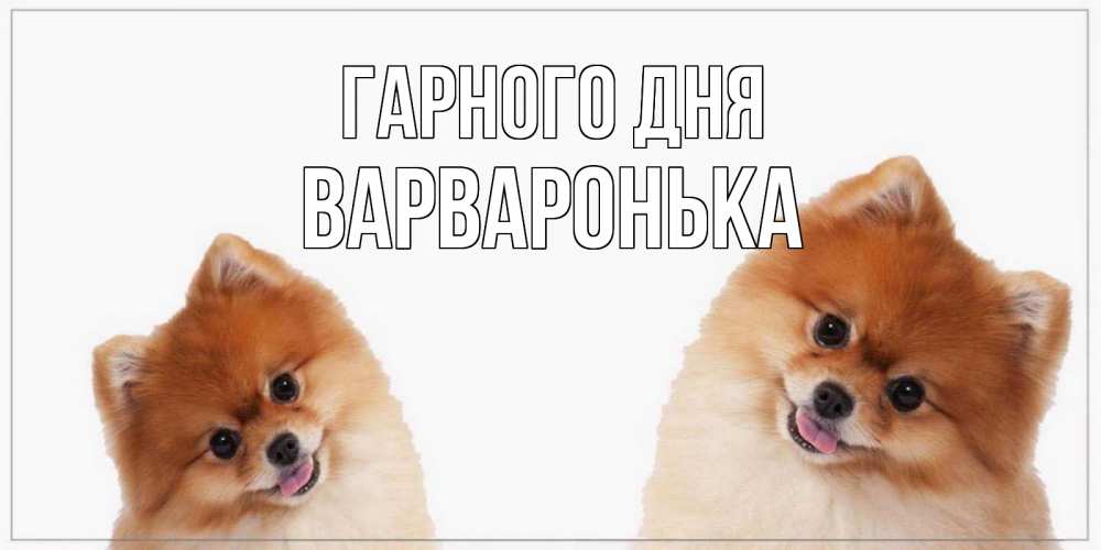 Открытка на каждый день з підписом, Варваронька Гарного дня собачки желают прекрасного дня Прикольна листівка з побажанням онлайн скачати безкоштовно 