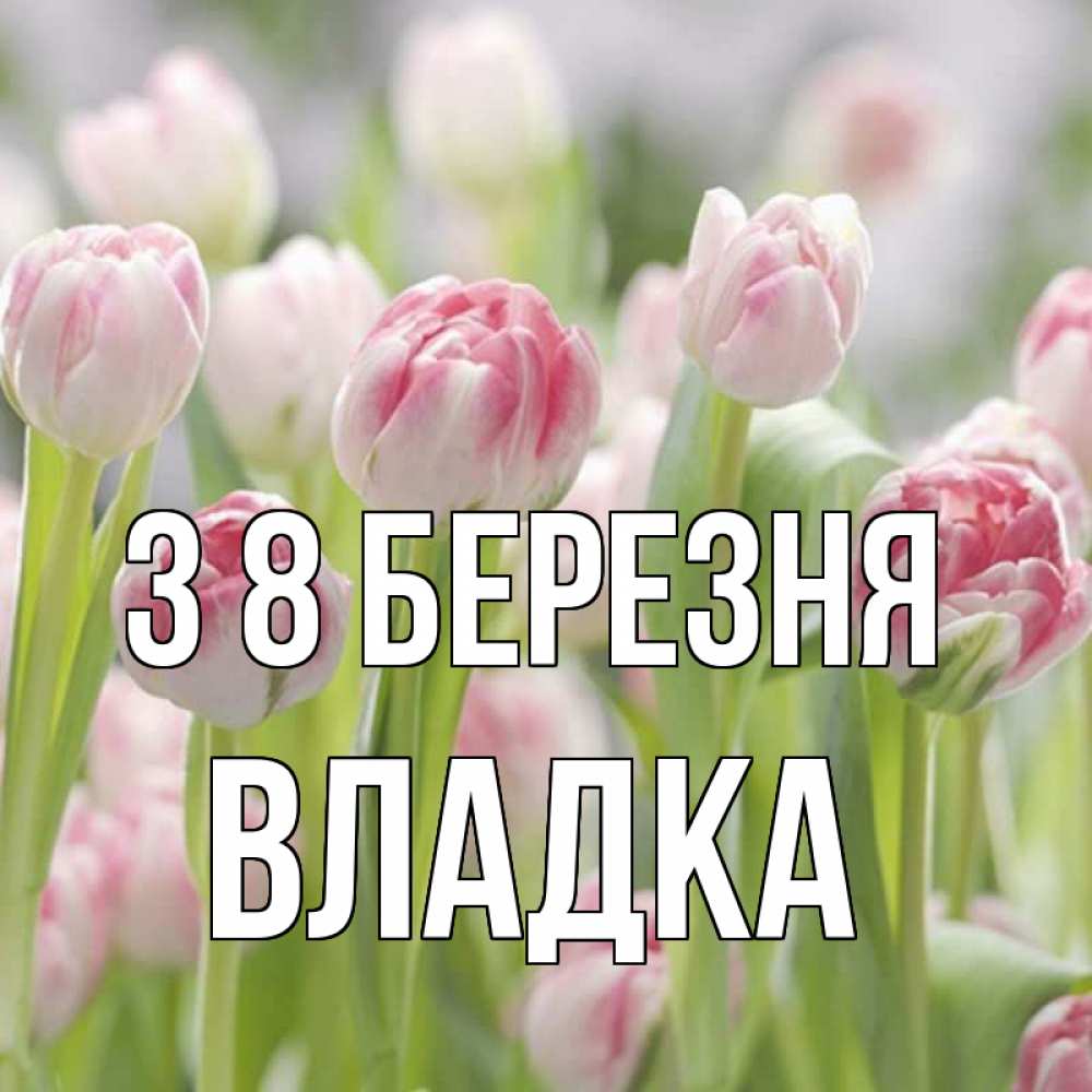 Открытка на каждый день з підписом, Владка З 8 БЕРЕЗНЯ цветы Прикольна листівка з побажанням онлайн скачати безкоштовно 
