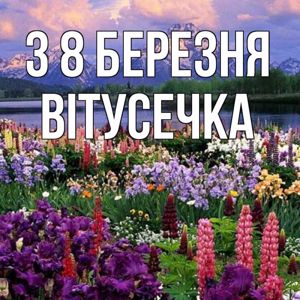 Открытка на каждый день з підписом, Вітусечка З 8 БЕРЕЗНЯ международный женский день Прикольна листівка з побажанням онлайн скачати безкоштовно 