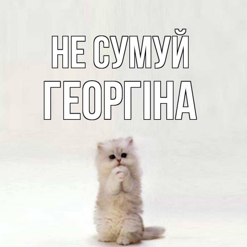 Открытка на каждый день з підписом, Георгіна Не сумуй грустный кот Прикольна листівка з побажанням онлайн скачати безкоштовно 