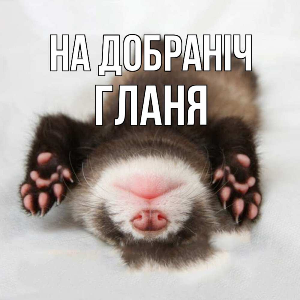 Открытка на каждый день з підписом, Гланя На добраніч зверек Прикольна листівка з побажанням онлайн скачати безкоштовно 