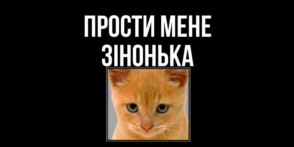 Открытка на каждый день з підписом, Зінонька Прости мене рыжий грустный кот просит прощения Прикольна листівка з побажанням онлайн скачати безкоштовно 