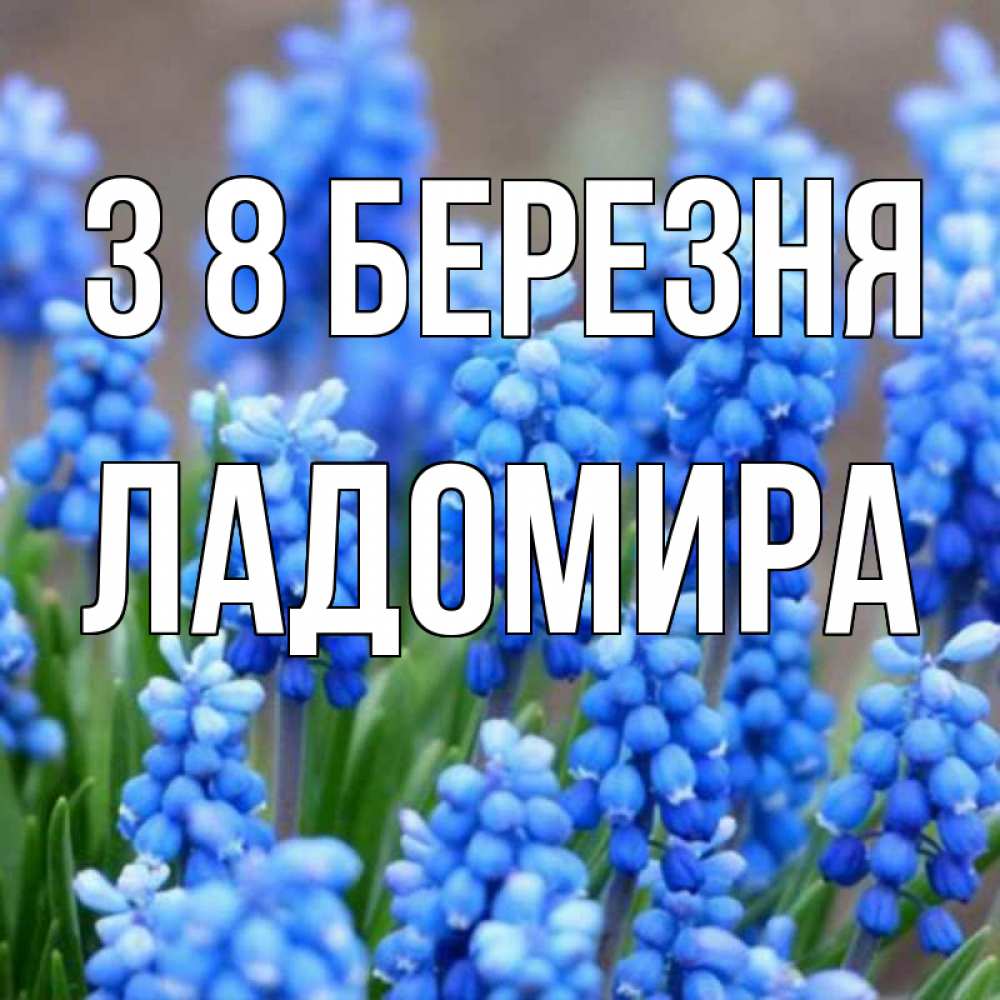 Открытка на каждый день з підписом, Ладомира З 8 БЕРЕЗНЯ Поздравительная открытка для женщин с цветами на праздничную дату Прикольна листівка з побажанням онлайн скачати безкоштовно 