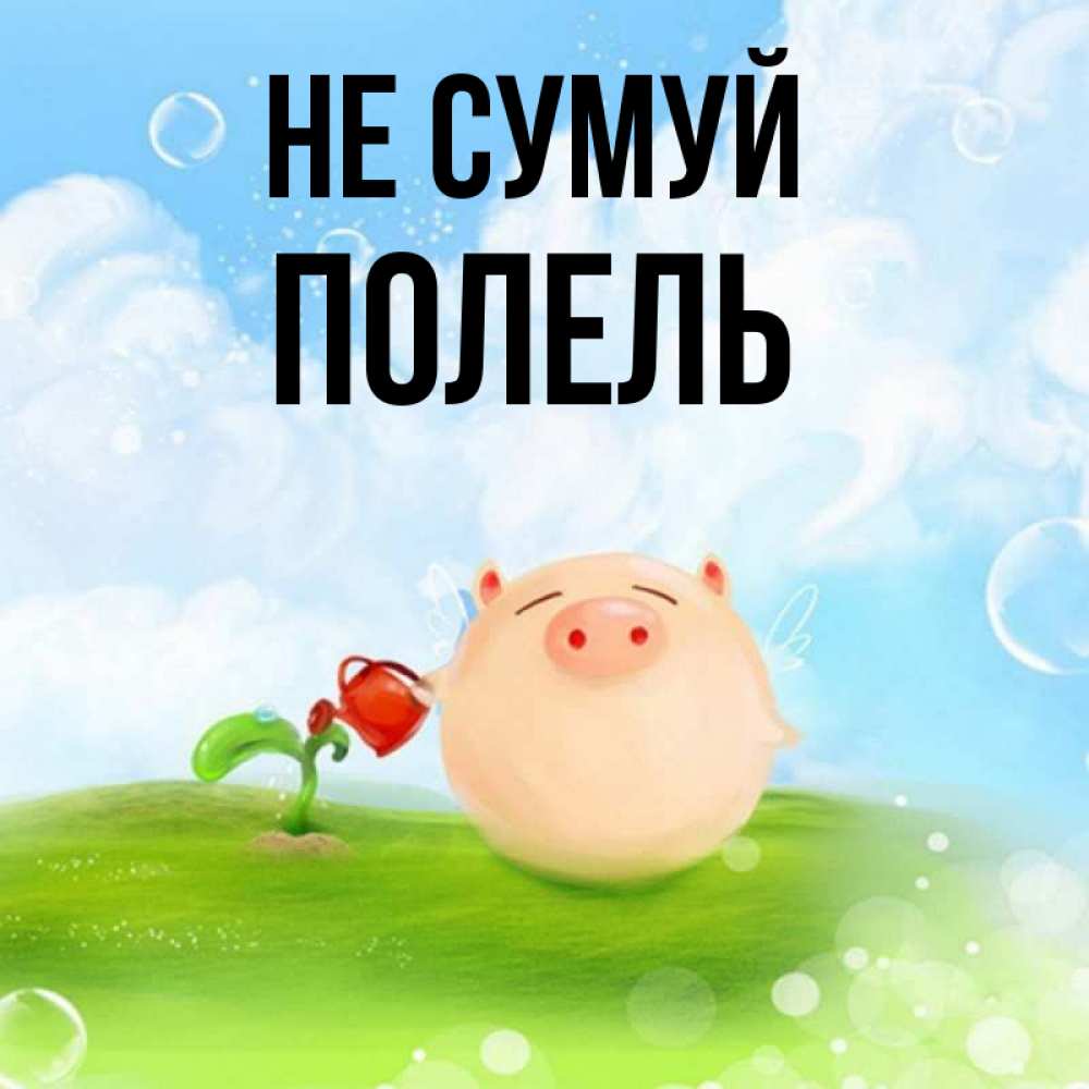 Открытка на каждый день з підписом, Полель Не сумуй поливает цветок порося Прикольна листівка з побажанням онлайн скачати безкоштовно 