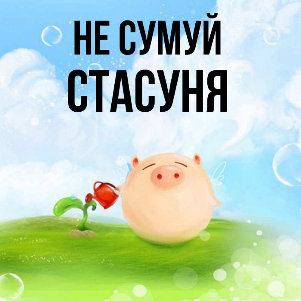 Открытка на каждый день з підписом, Стасуня Не сумуй поливает цветок порося Прикольна листівка з побажанням онлайн скачати безкоштовно 