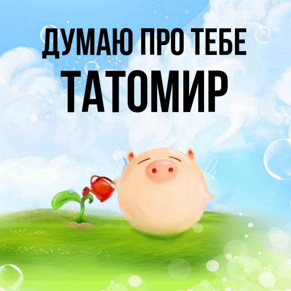 Открытка на каждый день з підписом, Татомир Думаю про тебе позитивная свинюшка Прикольна листівка з побажанням онлайн скачати безкоштовно 