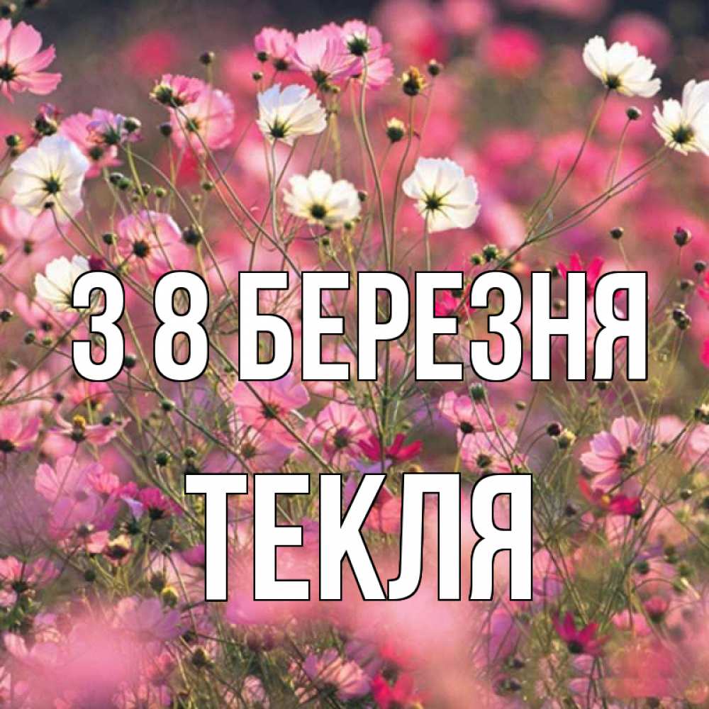 Открытка на каждый день з підписом, Текля З 8 БЕРЕЗНЯ красиво 1 Прикольна листівка з побажанням онлайн скачати безкоштовно 
