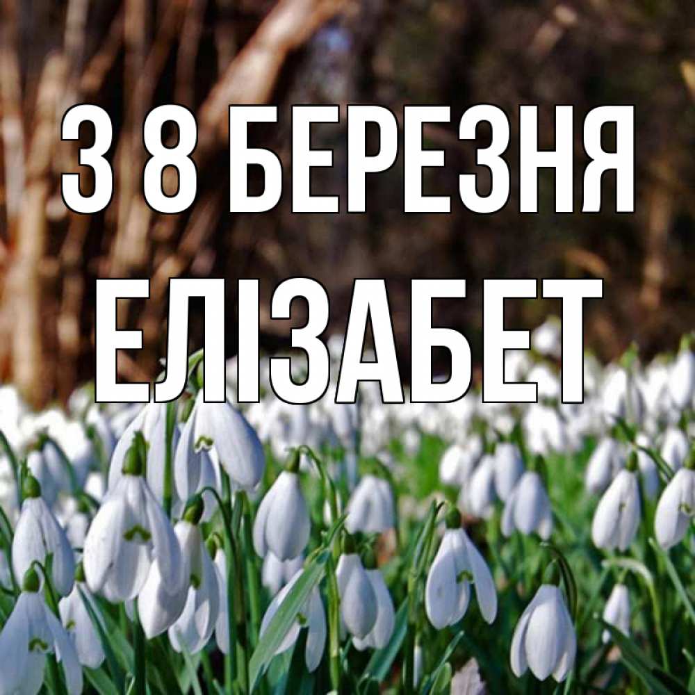 Открытка на каждый день з підписом, Елізабет З 8 БЕРЕЗНЯ с подснежниками 1 Прикольна листівка з побажанням онлайн скачати безкоштовно 