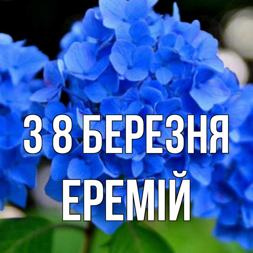 Открытка на каждый день з підписом, Еремій З 8 БЕРЕЗНЯ синие цветы Прикольна листівка з побажанням онлайн скачати безкоштовно 