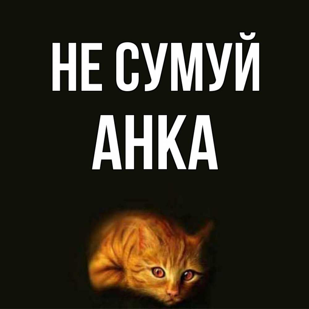 Открытка на каждый день з підписом, Анка Не сумуй лежащий кот в темноте Прикольна листівка з побажанням онлайн скачати безкоштовно 