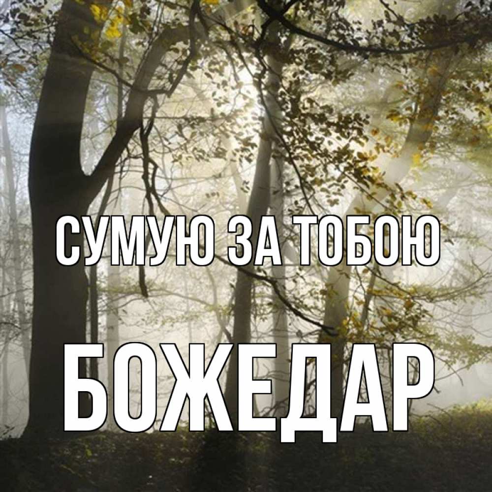 Открытка на каждый день з підписом, Божедар Сумую за тобою грустно Прикольна листівка з побажанням онлайн скачати безкоштовно 