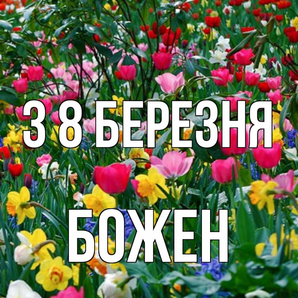 Открытка на каждый день з підписом, Божен З 8 БЕРЕЗНЯ с международным женским днем поздравления для женщины Прикольна листівка з побажанням онлайн скачати безкоштовно 