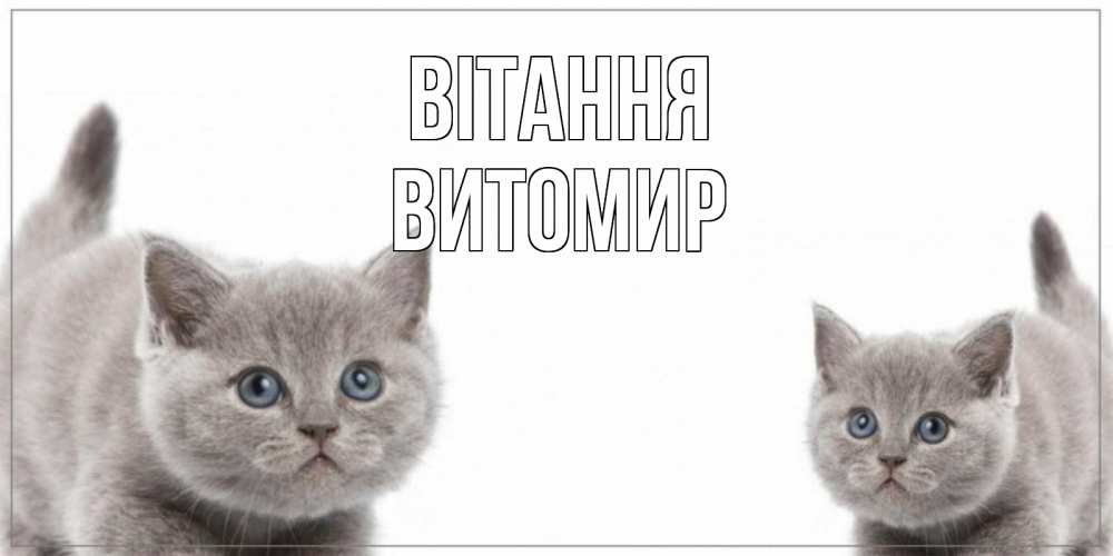 Открытка на каждый день з підписом, Витомир Вітання коты Прикольна листівка з побажанням онлайн скачати безкоштовно 