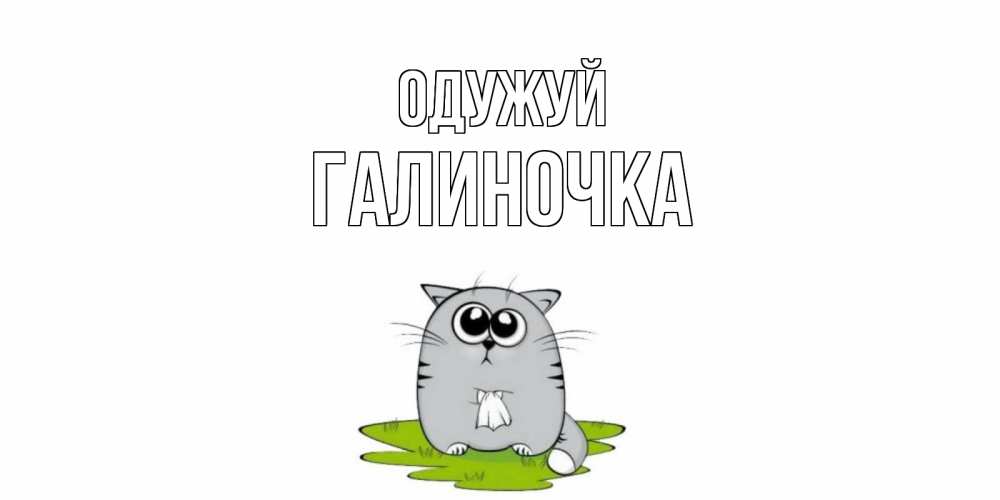 Открытка на каждый день з підписом, Галиночка Одужуй кот и открытки про выздоровление Прикольна листівка з побажанням онлайн скачати безкоштовно 