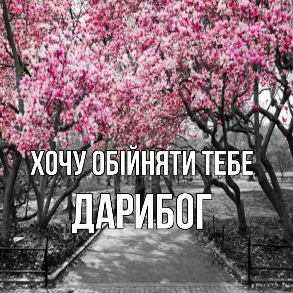 Открытка на каждый день з підписом, Дарибог Хочу обійняти тебе обработанное фото Прикольна листівка з побажанням онлайн скачати безкоштовно 