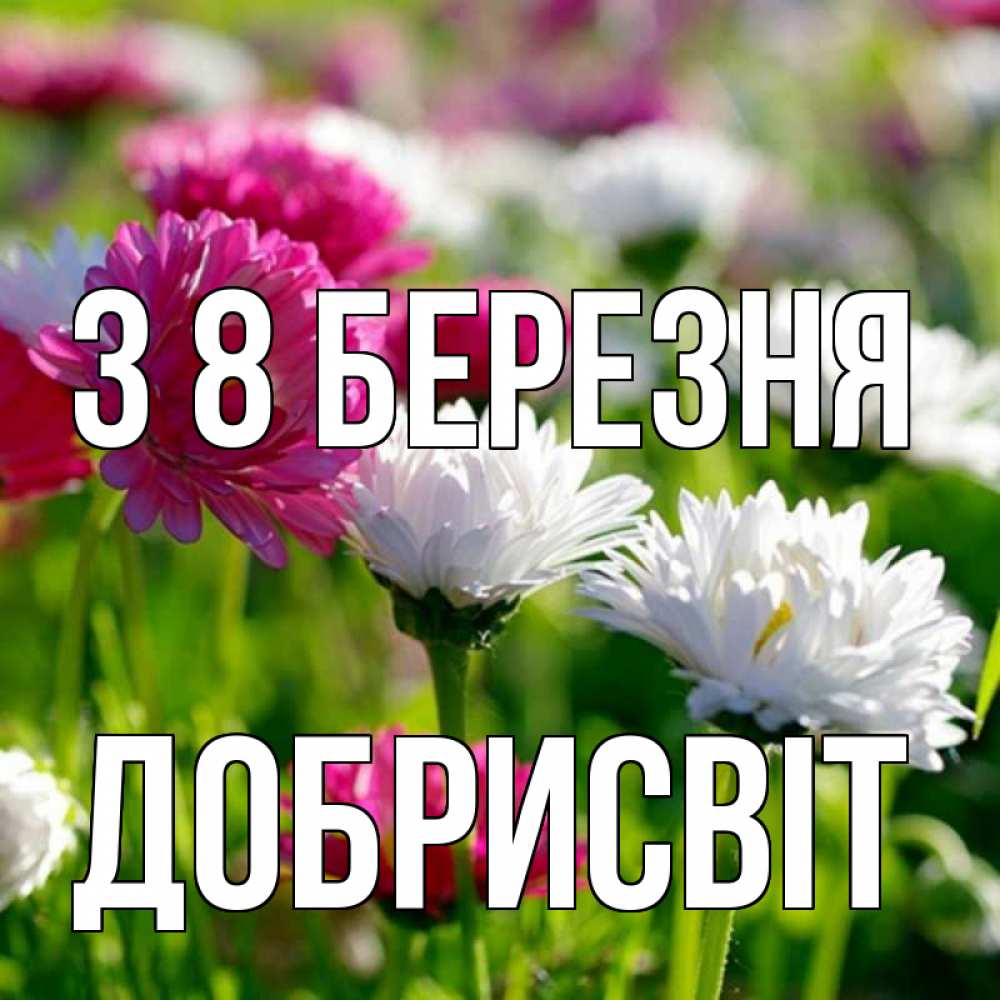 Открытка на каждый день з підписом, Добрисвіт З 8 БЕРЕЗНЯ международный женский день 1 Прикольна листівка з побажанням онлайн скачати безкоштовно 