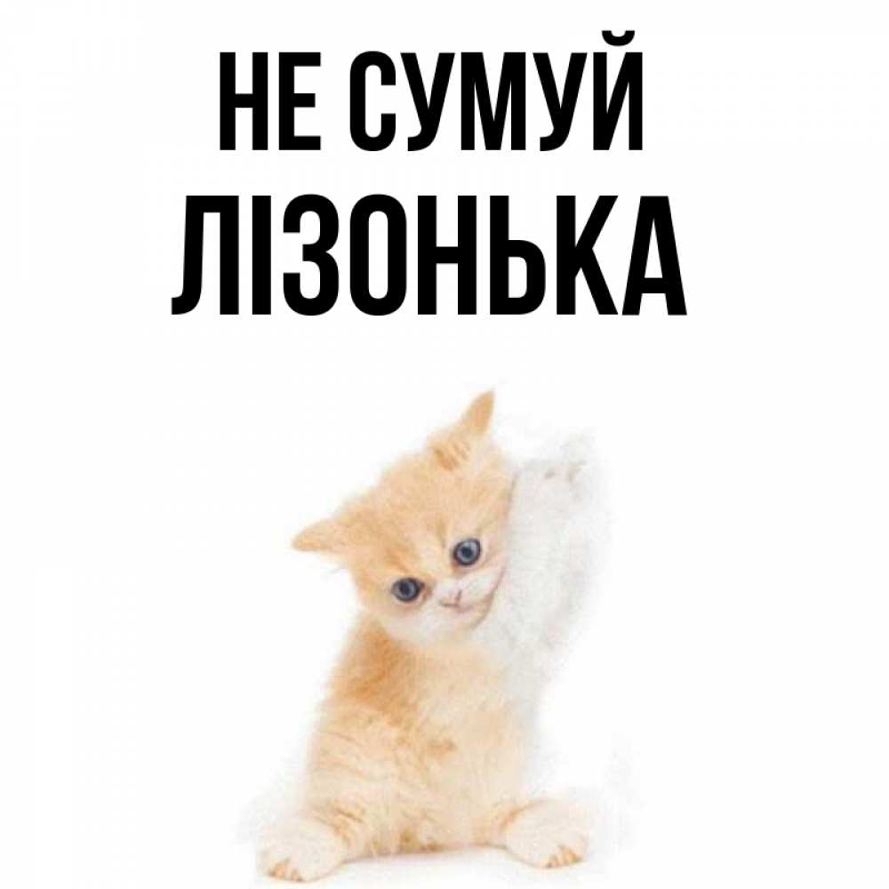 Открытка на каждый день з підписом, Лізонька Не сумуй просящий кот Прикольна листівка з побажанням онлайн скачати безкоштовно 