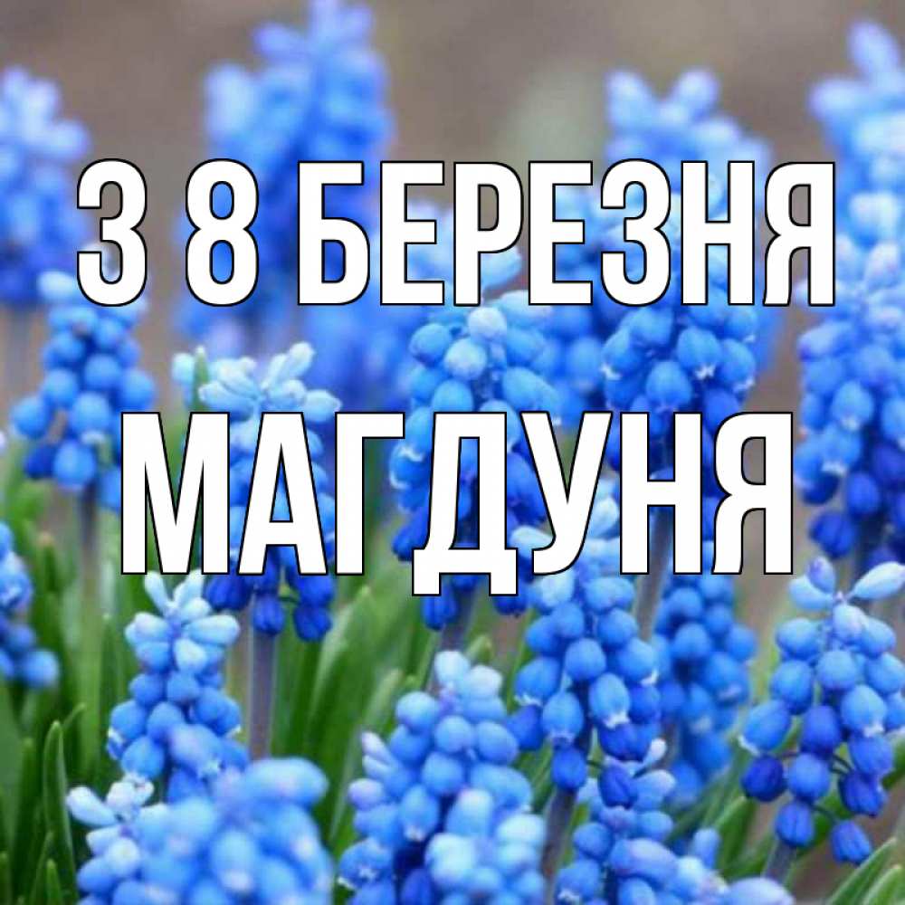 Открытка на каждый день з підписом, Магдуня З 8 БЕРЕЗНЯ Поздравительная открытка для женщин с цветами на праздничную дату Прикольна листівка з побажанням онлайн скачати безкоштовно 