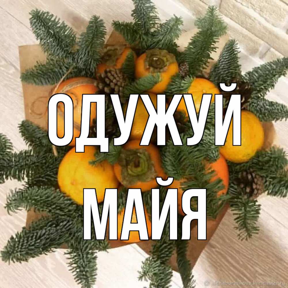Открытка на каждый день з підписом, Майя Одужуй апельсины и хурьма Прикольна листівка з побажанням онлайн скачати безкоштовно 