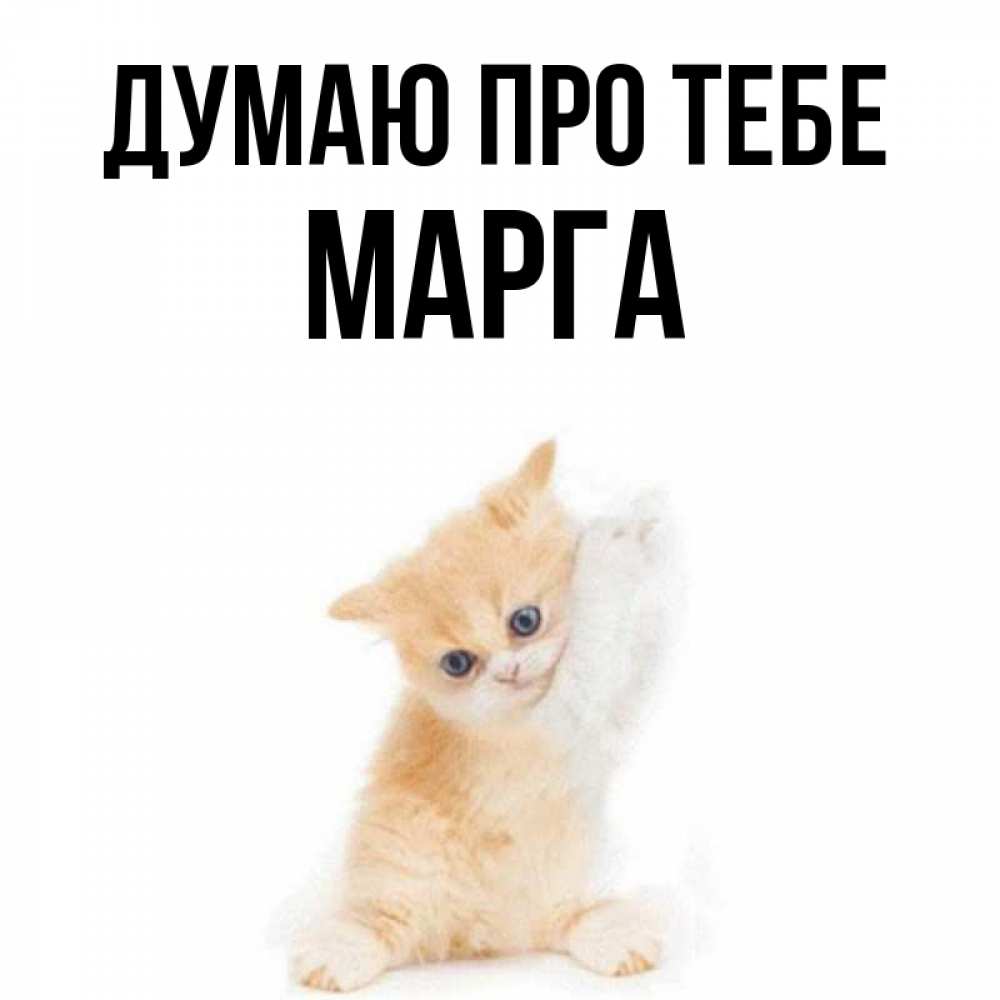 Открытка на каждый день з підписом, Марга Думаю про тебе зверушки и милота Прикольна листівка з побажанням онлайн скачати безкоштовно 