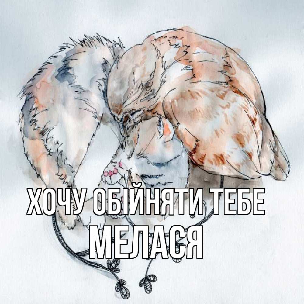 Открытка на каждый день з підписом, Мелася Хочу обійняти тебе можно быть вместе даже когда очень разные Прикольна листівка з побажанням онлайн скачати безкоштовно 