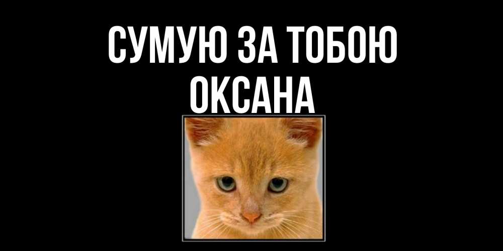 Открытка на каждый день з підписом, Оксана Сумую за тобою открытки рыжий котенок скучает по тебе Прикольна листівка з побажанням онлайн скачати безкоштовно 