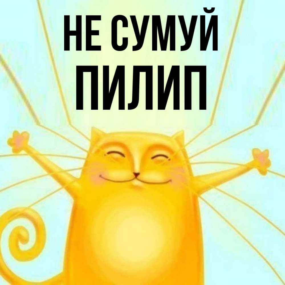 Открытка на каждый день з підписом, Пилип Не сумуй обнимашки усатые Прикольна листівка з побажанням онлайн скачати безкоштовно 