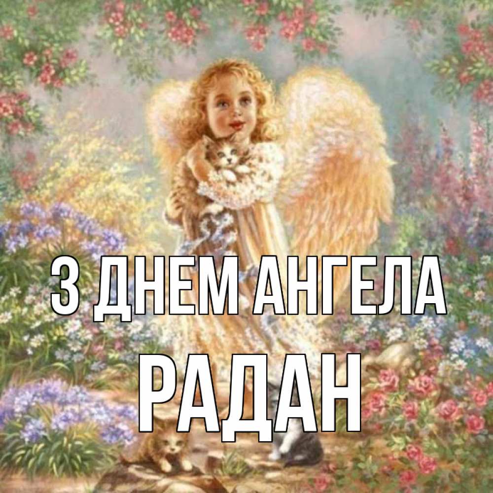 Открытка на каждый день з підписом, Радан З Днем ангела держит котенка Прикольна листівка з побажанням онлайн скачати безкоштовно 