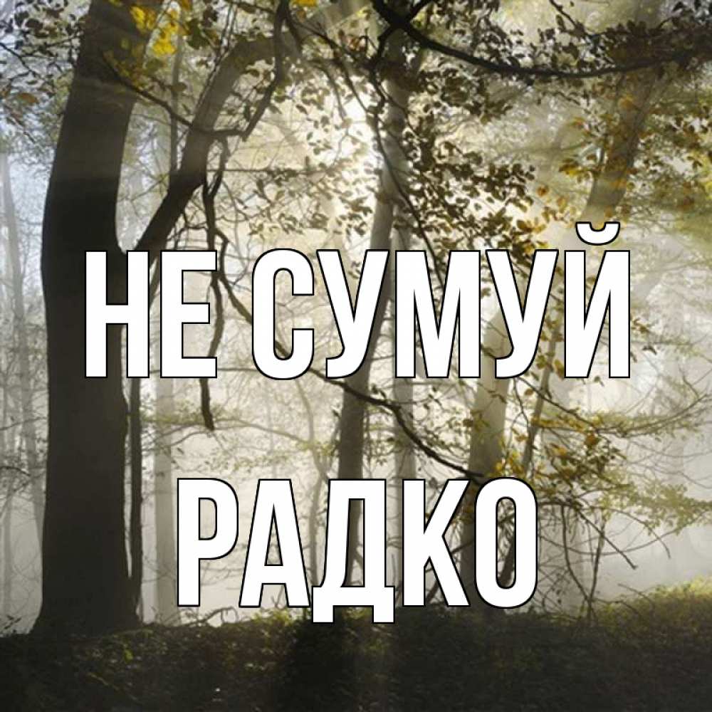 Открытка на каждый день з підписом, Радко Не сумуй лес и свет Прикольна листівка з побажанням онлайн скачати безкоштовно 