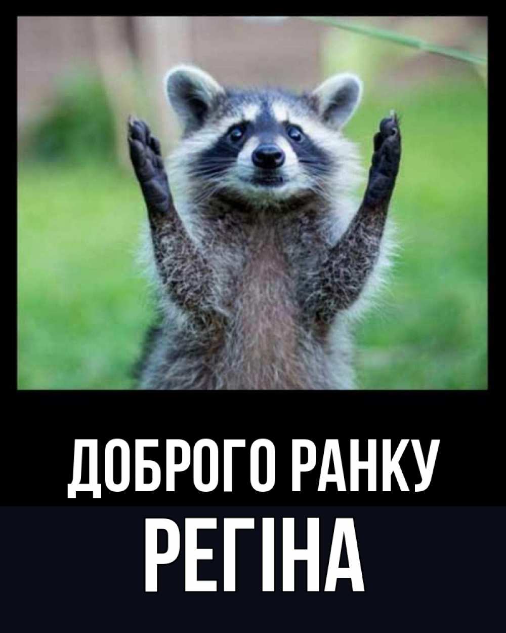 Открытка на каждый день з підписом, Регіна Доброго ранку хорошее настроение утречком Прикольна листівка з побажанням онлайн скачати безкоштовно 