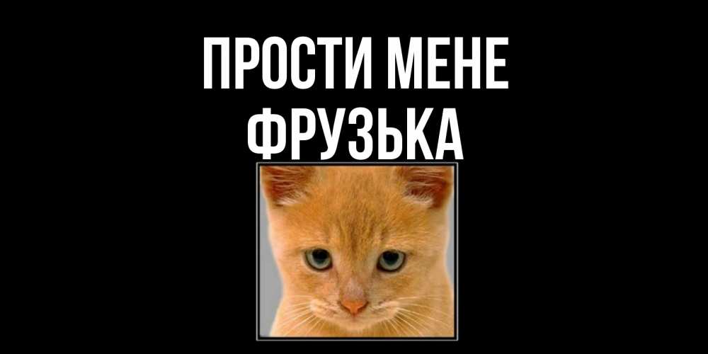 Открытка на каждый день з підписом, Фрузька Прости мене рыжий грустный кот просит прощения Прикольна листівка з побажанням онлайн скачати безкоштовно 