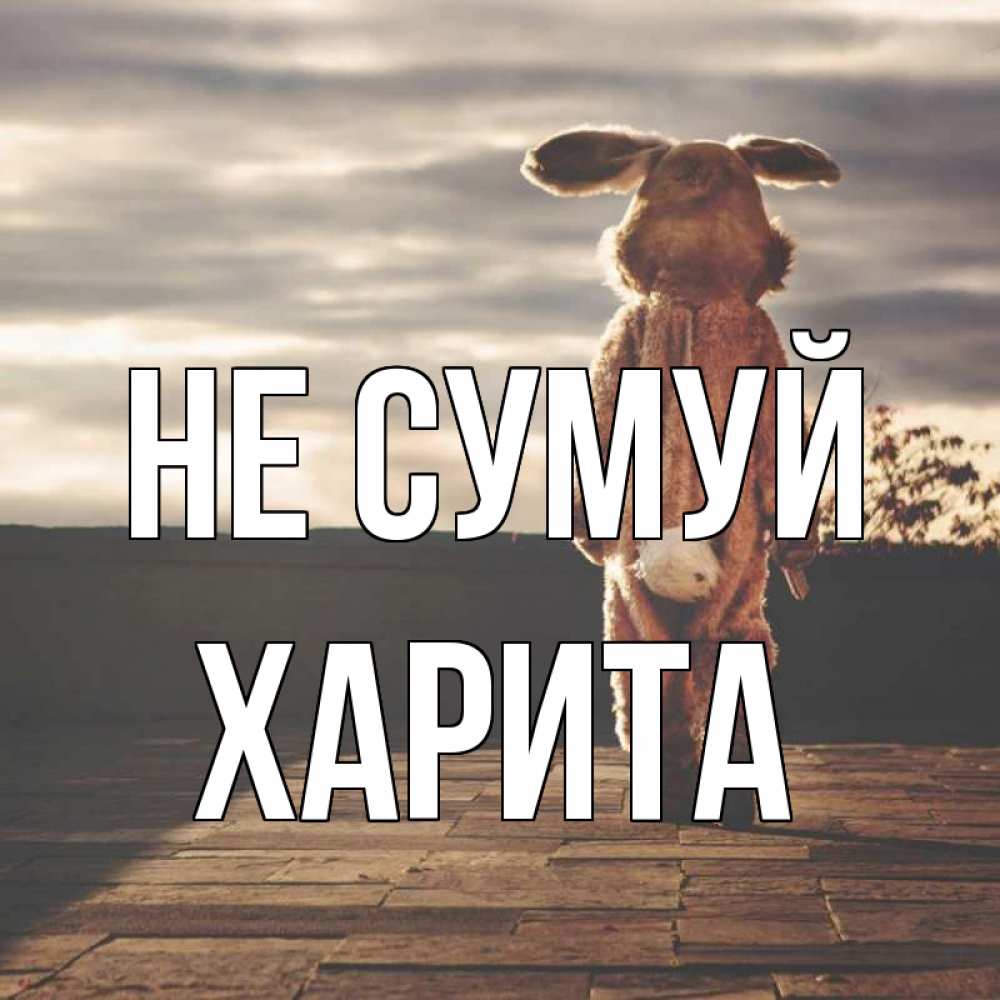Открытка на каждый день з підписом, Харита Не сумуй со спины Прикольна листівка з побажанням онлайн скачати безкоштовно 