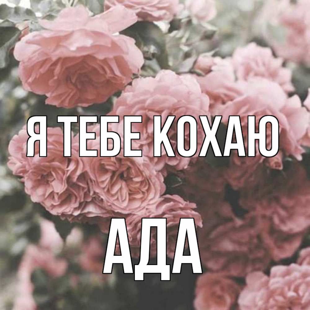 Открытка на каждый день з підписом, Ада Я тебе кохаю розы 3 Прикольна листівка з побажанням онлайн скачати безкоштовно 