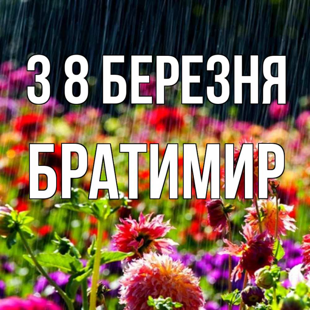 Открытка на каждый день з підписом, Братимир З 8 БЕРЕЗНЯ цветы под дождиком к международному женскому дню Прикольна листівка з побажанням онлайн скачати безкоштовно 