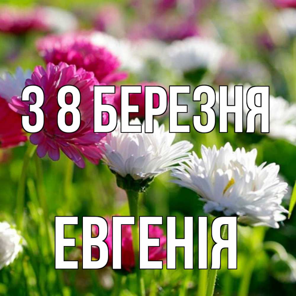 Открытка на каждый день з підписом, Евгенія З 8 БЕРЕЗНЯ международный женский день 1 Прикольна листівка з побажанням онлайн скачати безкоштовно 