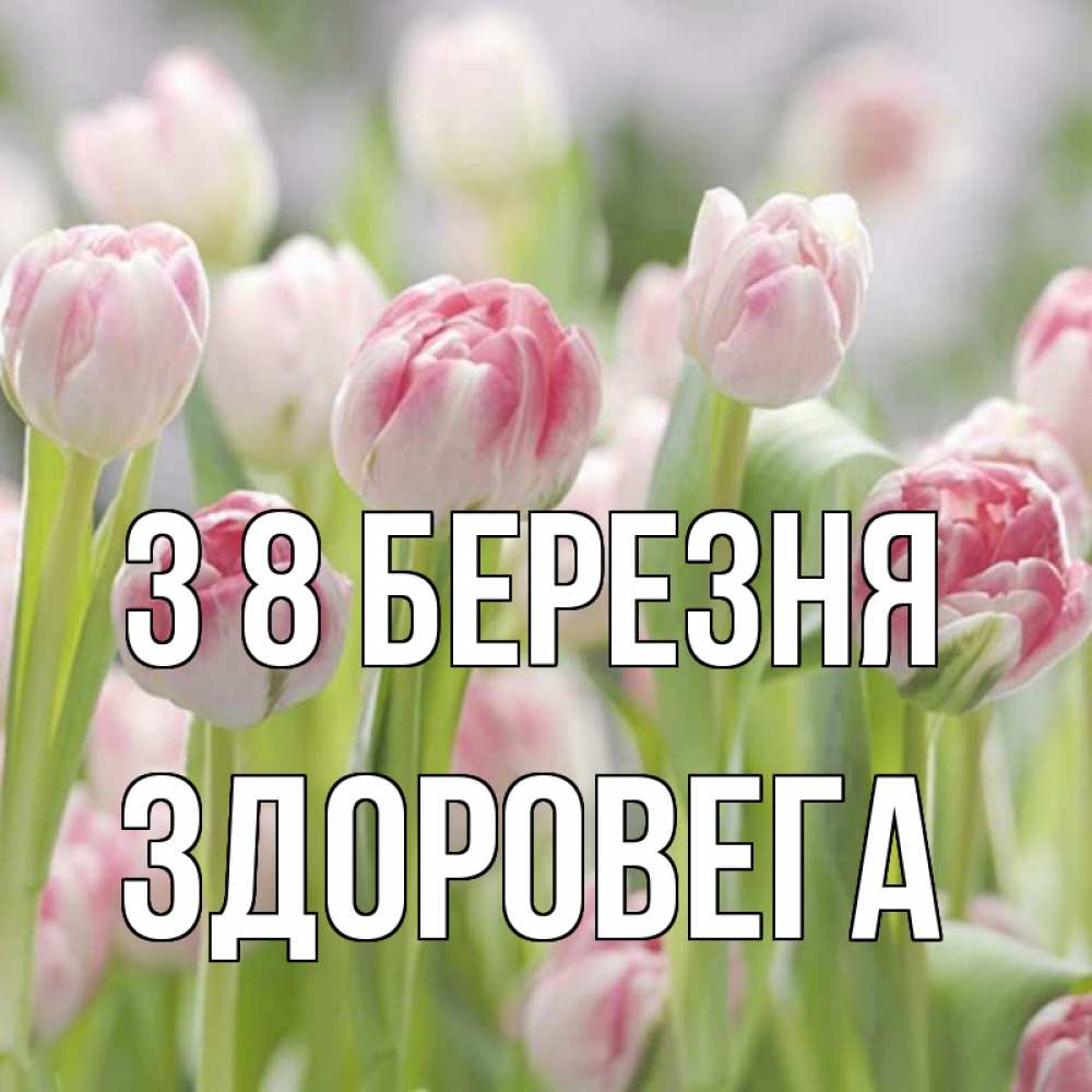 Открытка на каждый день з підписом, Здоровега З 8 БЕРЕЗНЯ цветы Прикольна листівка з побажанням онлайн скачати безкоштовно 