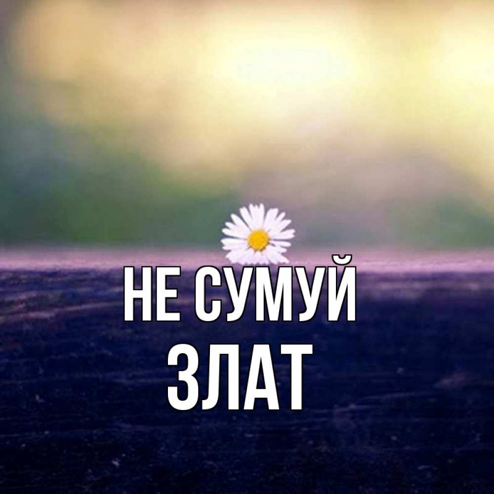 Открытка на каждый день з підписом, Злат Не сумуй красота Прикольна листівка з побажанням онлайн скачати безкоштовно 