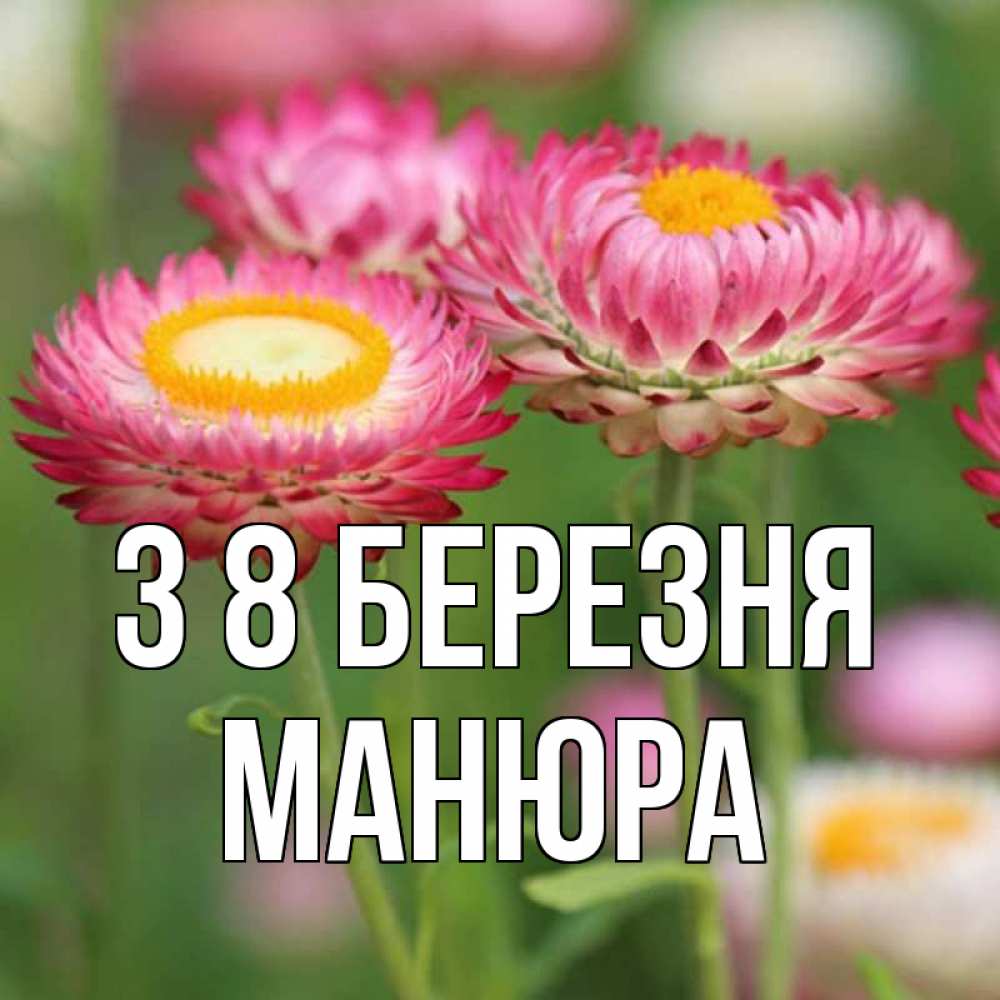 Открытка на каждый день з підписом, Манюра З 8 БЕРЕЗНЯ подарок на международный женский день Прикольна листівка з побажанням онлайн скачати безкоштовно 