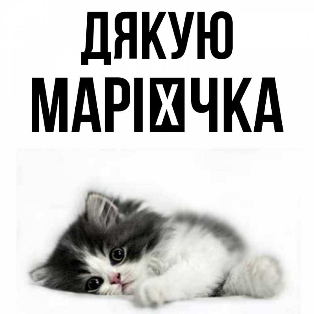 Открытка на каждый день з підписом, Марієчка Дякую черный и белый кот Прикольна листівка з побажанням онлайн скачати безкоштовно 