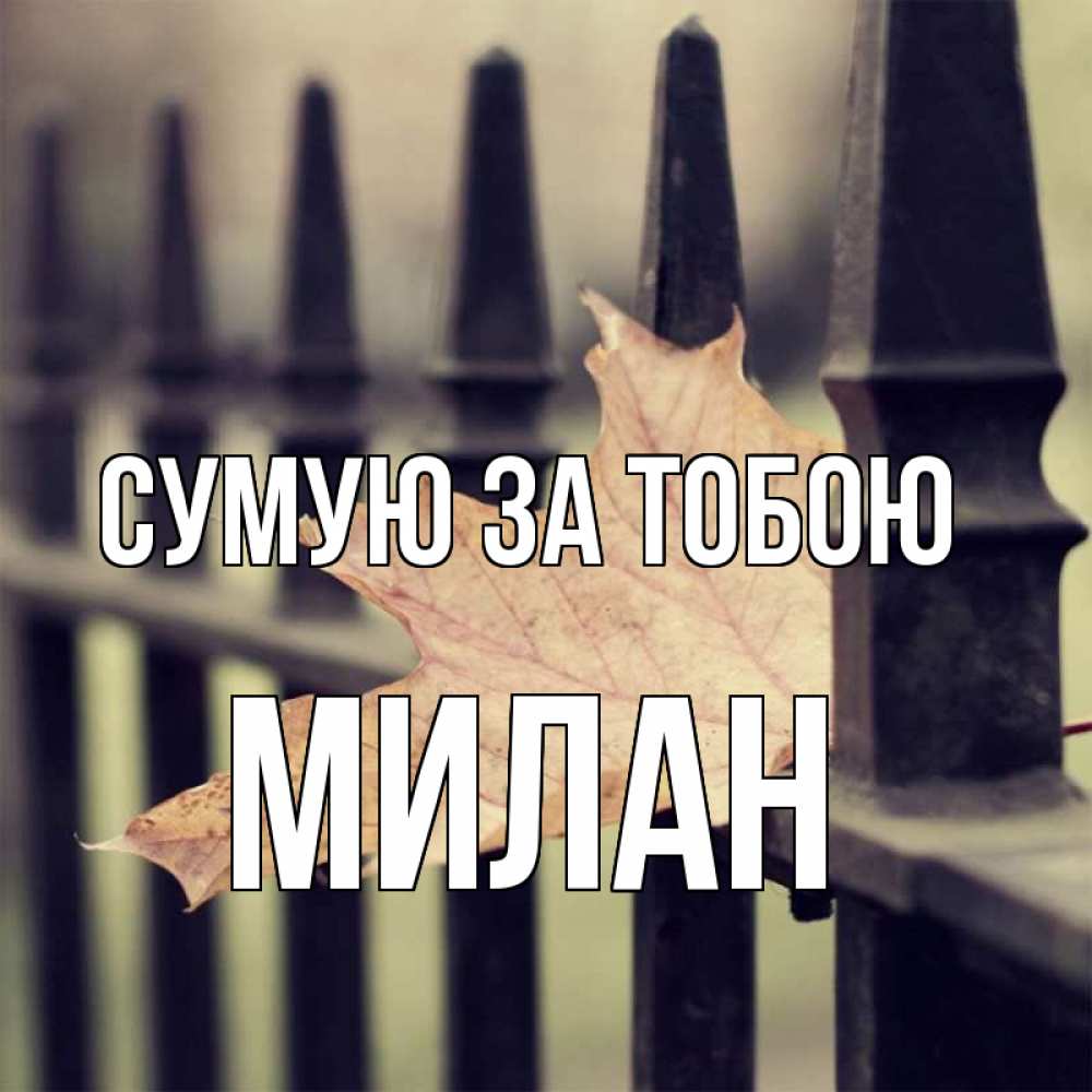 Открытка на каждый день з підписом, Милан Сумую за тобою очень скучно Прикольна листівка з побажанням онлайн скачати безкоштовно 