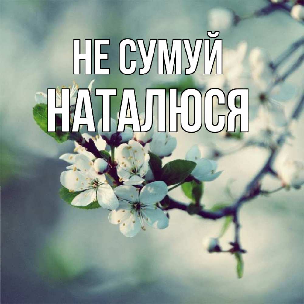 Открытка на каждый день з підписом, Наталюся Не сумуй яблоня в цвету 1 Прикольна листівка з побажанням онлайн скачати безкоштовно 