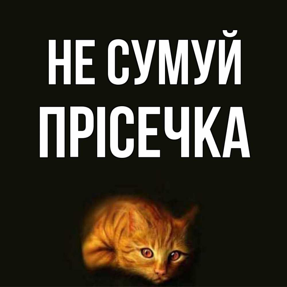 Открытка на каждый день з підписом, Прісечка Не сумуй лежащий кот в темноте Прикольна листівка з побажанням онлайн скачати безкоштовно 