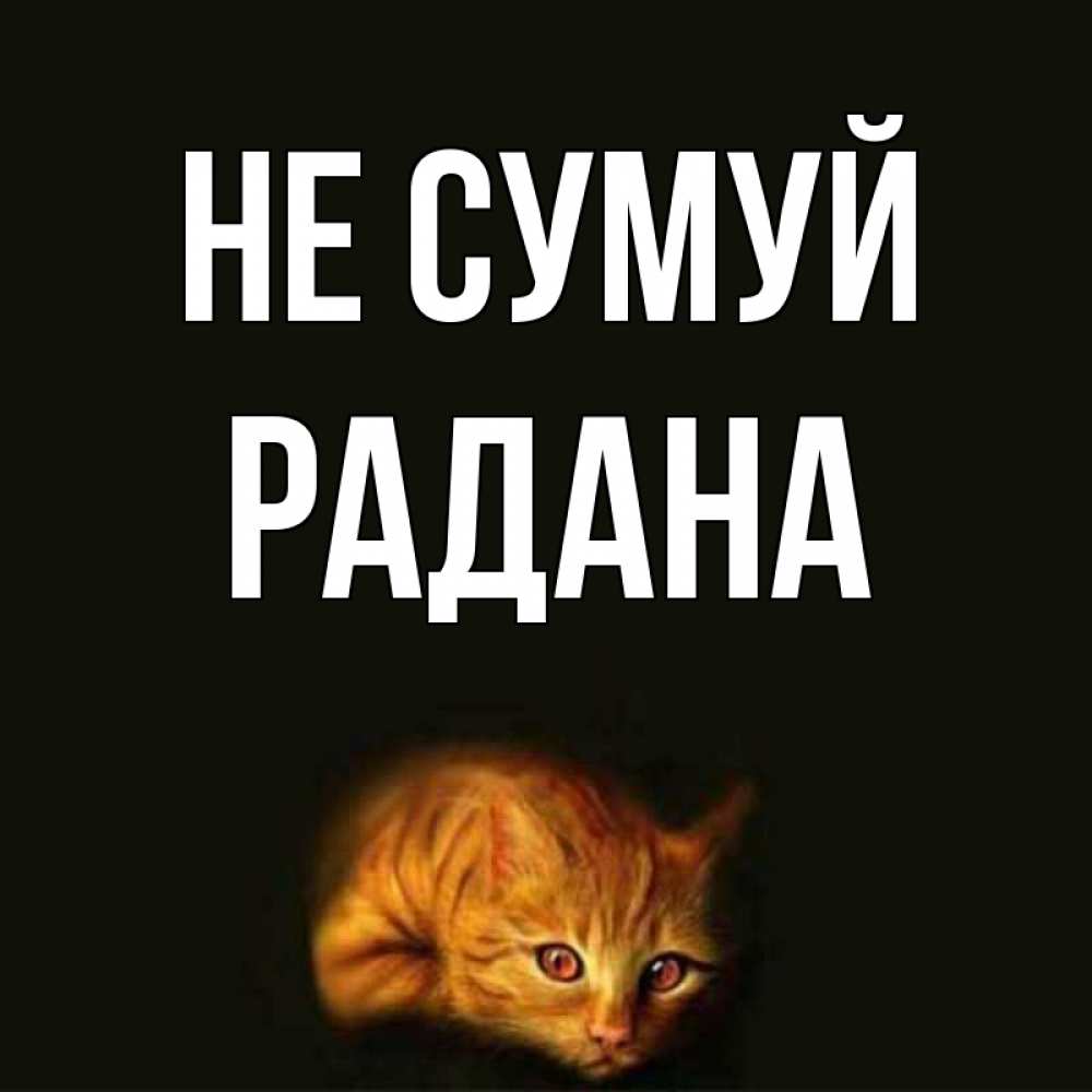 Открытка на каждый день з підписом, Радана Не сумуй лежащий кот в темноте Прикольна листівка з побажанням онлайн скачати безкоштовно 