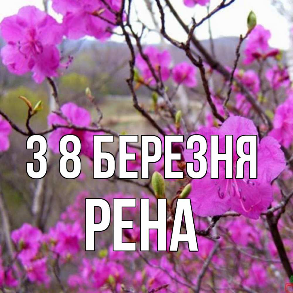 Открытка на каждый день з підписом, Рена З 8 БЕРЕЗНЯ международный женский день Прикольна листівка з побажанням онлайн скачати безкоштовно 